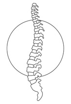 Dorn-Breuss Therapie, Sanfte Wirbelsäulentherapie, Manuelle Therapie bei Rückenschmerzen, Bandscheiben Manuelle Therapie