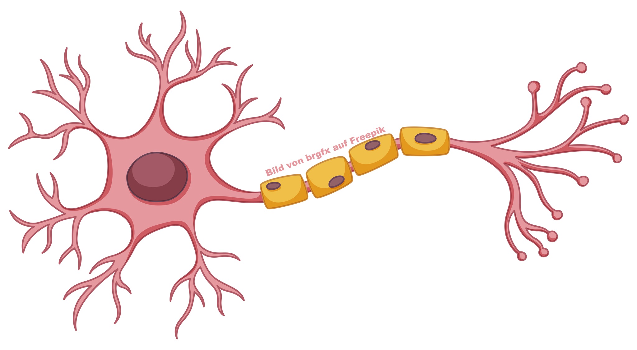 Injektion von Lokalanästhetikum zur Schmerzlinderung, Narbenentstörung und Regulationsverbesserung im Körper
